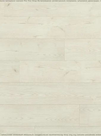 Виниловый ламинат (SPC) Respect FLOOR  Дуб Морозный