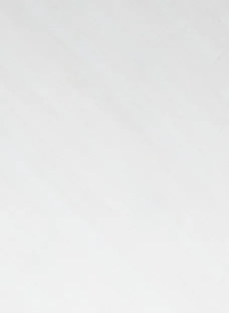 Кварц-винил (LVT) Fine Flex FX-LIGHT  Дуб Мишоко