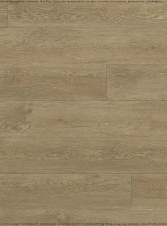 Виниловый ламинат (SPC) Respect FLOOR  Дуб Золотистый