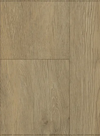 Виниловый ламинат (SPC) Respect FLOOR  Дуб Золотистый