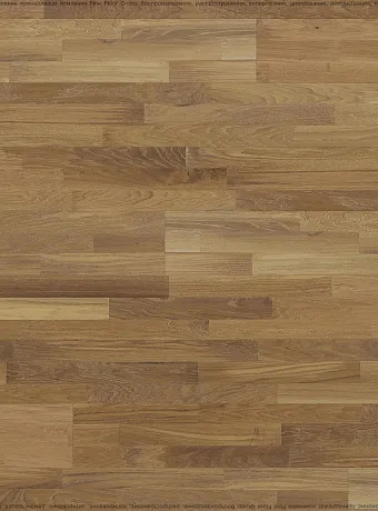 Паркетная доска Polarwood SPACE Oak Neptune ROBUST 3S OIL S.MAT