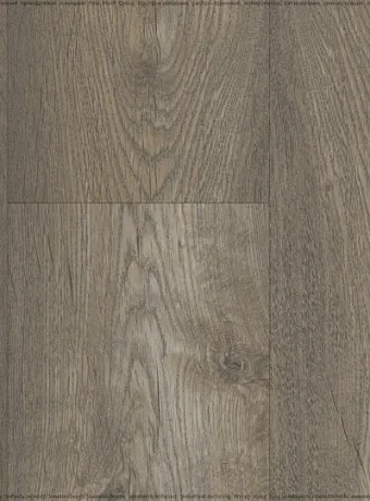 Ламинат Kastamonu Floorpan LAGOON  Вяз Марсель