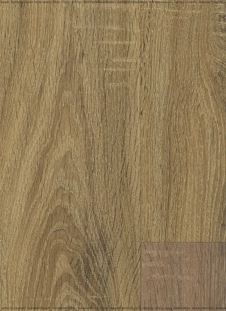 Ламинат WoodStyle PRONTO  Дуб Орвието>