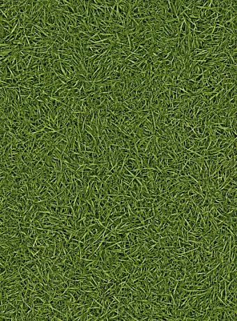 Линолеум рулонный IVC Home VISION Grass T25 шириной 4 м