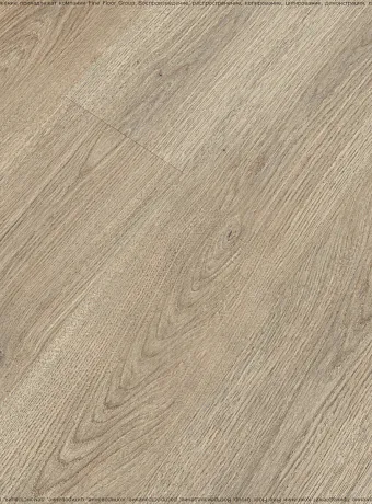 Ламинат Swiss Krono GROTESK Дуб Беллинг