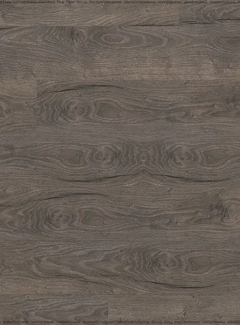 Ламинат Kastamonu Floorpan MARSALA  Дуб Сабах