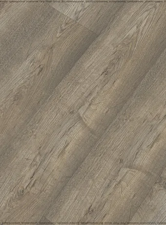 Ламинат Kastamonu Floorpan LAGOON  Вяз Марсель